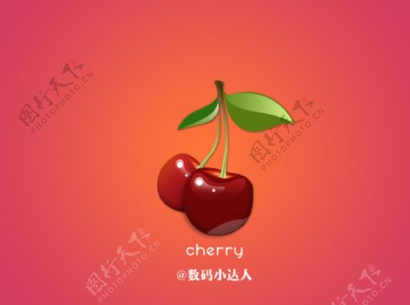 水果樱桃图标