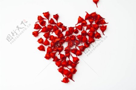 红色花朵组成的心
