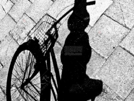 自行车背影的图像