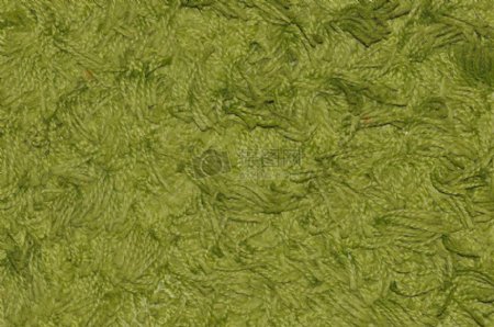 绿色背景的地毯