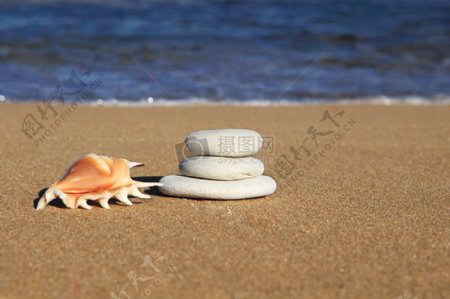 海滩上的海螺和石头