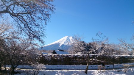 冬季富士山风景图片