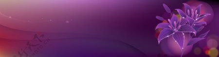 紫色花瓣电商banner背景