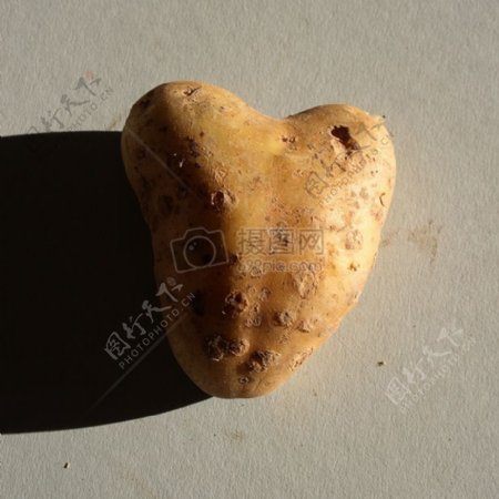马铃薯心脏形状
