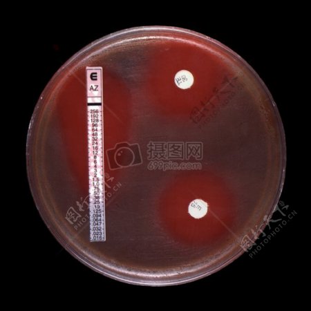 抗菌Susceptibillity测试E测试和纸片扩散法
