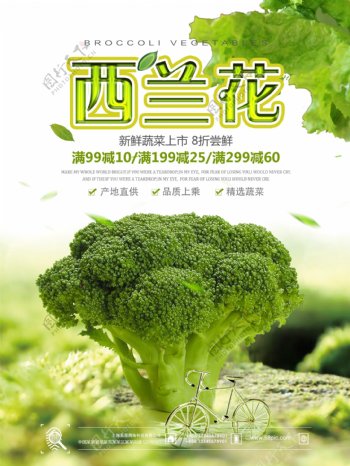 绿色清新西兰花蔬菜促销海报