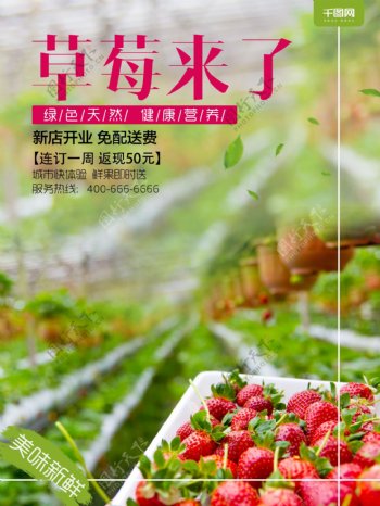 草莓采摘季草莓促销海报