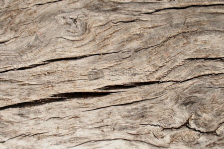裂缝的干枯木材