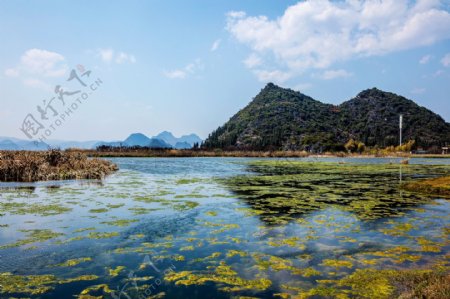 云南普者黑风景