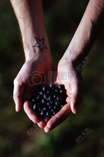 手中捧着的蓝莓