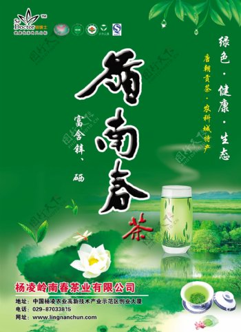 岭南春茶宣传单图片