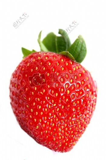 特写镜头前的红色草莓