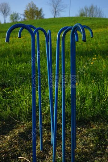 草地上的蓝拐杖