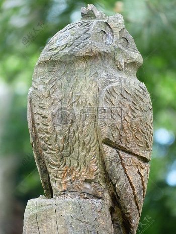 猫头鹰的雕塑