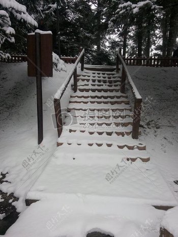 被雪覆盖的梯子
