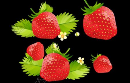草莓flash动画下载