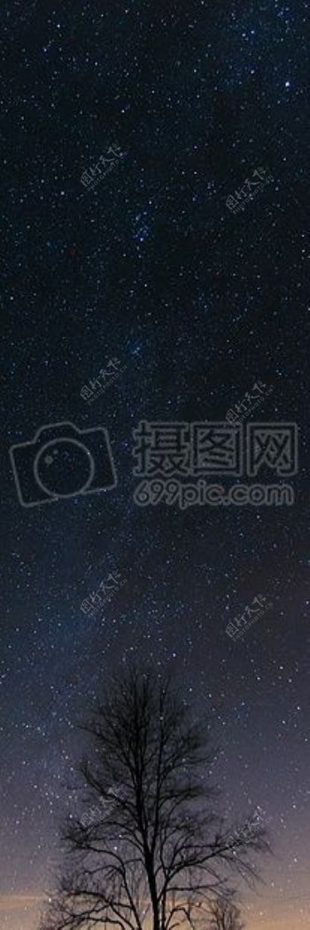 天空晚上空间黑暗树星4星天文天文