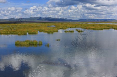 四川花湖风景