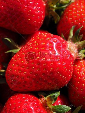 红色的新鲜草莓