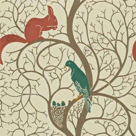 米色树干上的绿色小鸟红色松鼠壁纸