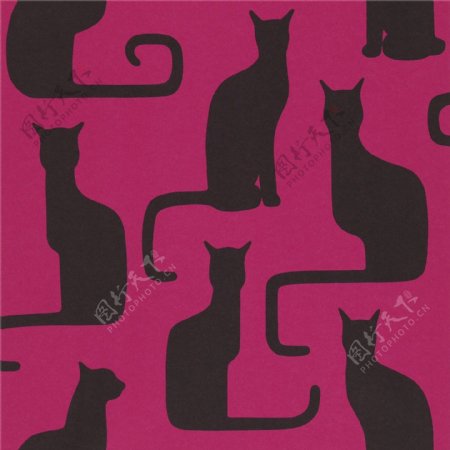 紫色动物布纹壁纸图片