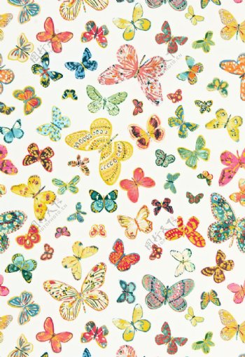 多彩蝴蝶花纹布艺壁纸