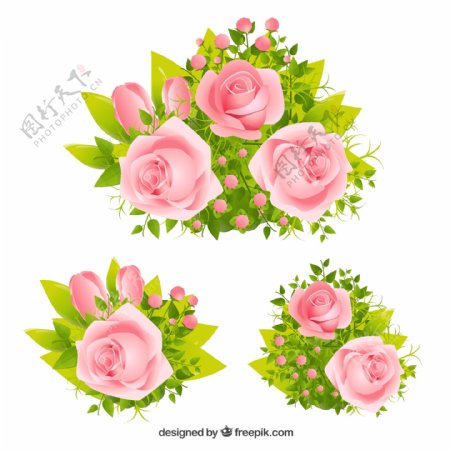 精美粉色玫瑰花矢量素材