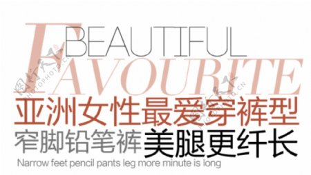 亚洲女性最爱穿裤型排版字体素材
