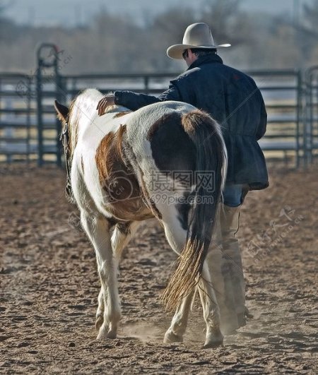 牧场中的男人牵着马