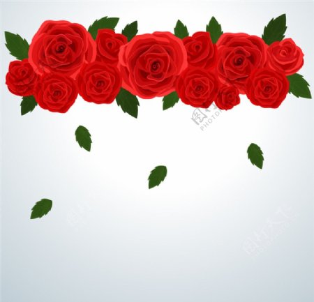 红色玫瑰花装饰背景矢量素材