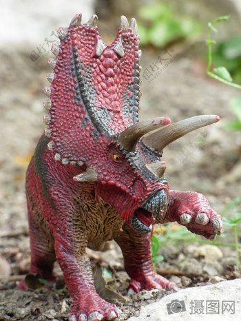 可爱的玩具恐龙