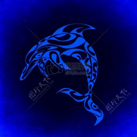 海豚神秘背景蓝色