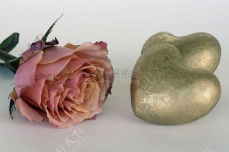 爱心石头旁的玫瑰花