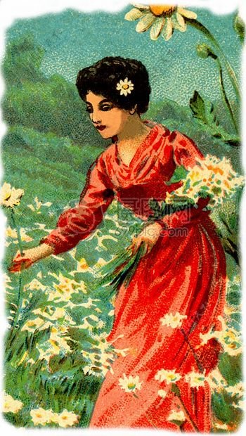正在采花的女人