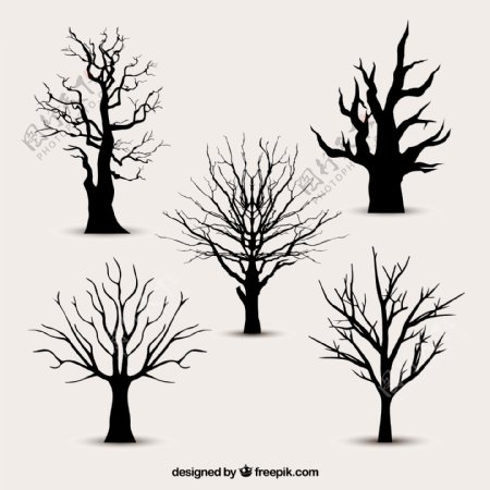 五款树木