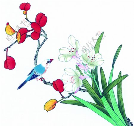 鲜花植物与蓝色小鸟图片