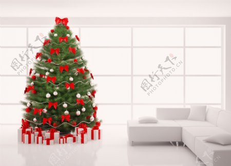 沙发和圣诞树图片