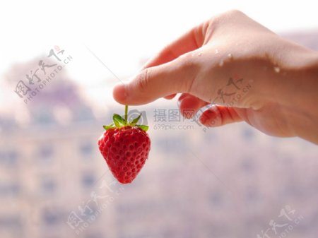 手中的红草莓