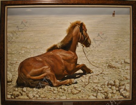 戈壁上的马相框油画图片
