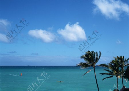 大海椰树热带景色图片