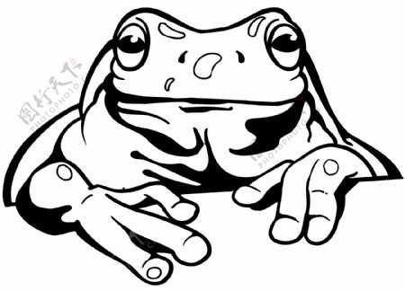 青蛙爬行动物矢量素材eps格式0018