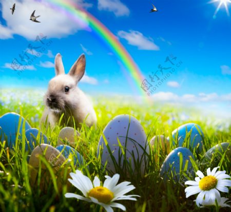 彩虹与复活节彩蛋兔子图片