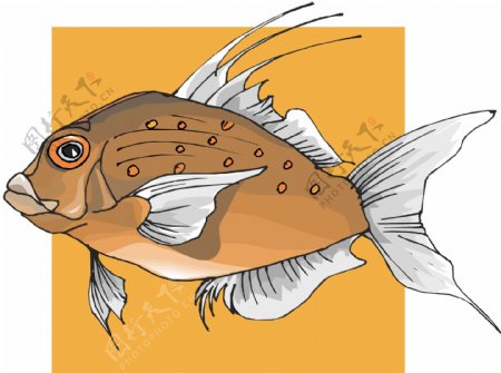 五彩小鱼水生动物矢量素材EPS格式0402