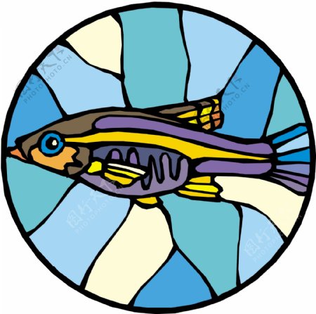 五彩小鱼水生动物矢量素材EPS格式0520