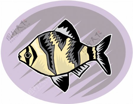 五彩小鱼水生动物矢量素材EPS格式0674