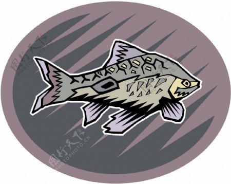 五彩小鱼水生动物矢量素材EPS格式0695