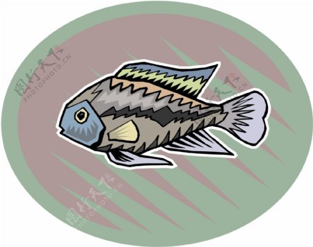 五彩小鱼水生动物矢量素材EPS格式0728