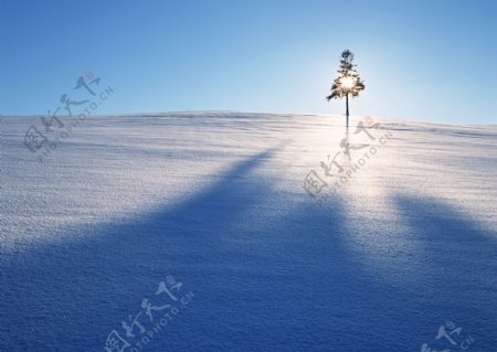 冬季雪景摄影图片