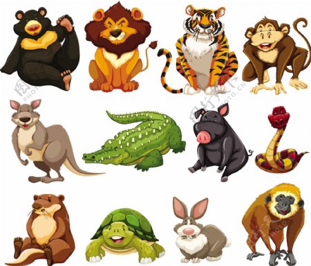 不同种类的丛林动物插画