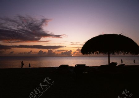 黄昏时的夏威夷海岸图片